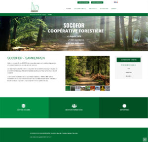 socofor création site web